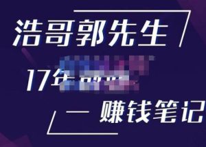 浩哥郭先生17年创业赚米笔记,打开你对很多东西的认知,让你知道原来赚钱或创业不单单是发力就行-虚拟资源库
