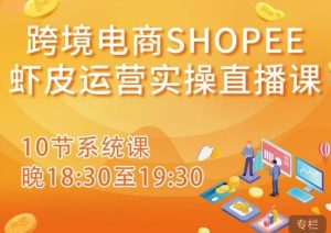 跨境电商Shopee虾皮运营实操直播课,从零开始学,入门到精通(10节系统课)-虚拟资源库