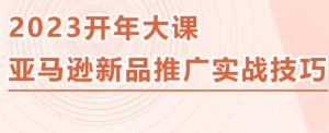 2023亚马逊新品推广实战技巧，线下百万美金课程的精简版，简单粗暴可复制，实操性强的推广手段-虚拟资源库