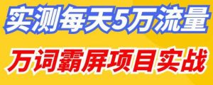 百度万词霸屏实操项目引流课,30天霸屏10万关键词-虚拟资源库