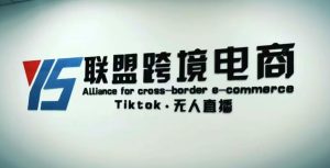 YS联盟·Tiktok无人直播,不出镜不剪辑不拍摄不发货无售后的跨境短视频躺赚玩法-虚拟资源库