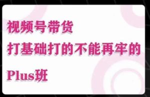 大播汇·视频号带货Puls班,视频号底层逻辑,起号自然流鱼塘等玩法-虚拟资源库