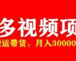 多多带货视频快速50爆款拿带货资格,搬运带货,月入30000【全套脚本+详细玩法】-虚拟资源库