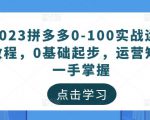 2023拼多多0-100实战运营教程,0基础起步,运营知识一手掌握-虚拟资源库