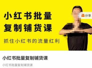 张宾·小红书批量复制铺货课,抓住小红书的流量红利 (更新2023年2月)-虚拟资源库