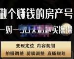 刘广标·同城房产号线上陪跑课,拍摄、剪辑、写文案、直播,做一个具有潜力价值的房产号-虚拟资源库