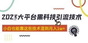 大平台黑科技引流技术,小白也能靠这些技术混到月入1w+(2022年的课程)-虚拟资源库