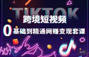 跨境短视频TIKTOK 0基础到精通网赚变现套课，跨境短视频独立站带货变现技巧-虚拟资源库