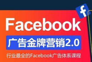 Facebook广告营销体系化教程,Facebook广告金牌营销2.0,行业最全的Facebook广告体系课程-虚拟资源库