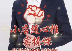 随心推线上课,小店随心推的投放逻辑,投放技巧,快速打标签-虚拟资源库