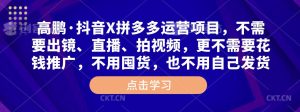 高鹏·抖音X拼多多运营项目,不需要出镜、直播、拍视频,不需要花钱推广,不用囤货,不用自己发货-虚拟资源库