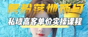 【男粉落地项目】零基础玩转男粉短视频转私域日产500+，2023男粉高客单价实操教程-虚拟资源库