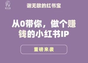 谢无敌·小红书运营大宝典,从0带你做个赚钱的小红书IP-虚拟资源库