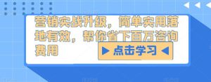 营销实战升级,简单实用落地有效,帮你省下百万咨询费用-虚拟资源库