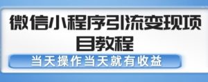 微信小程序引流变现项目教程,当天操作当天就有收益,变现不再是难事-虚拟资源库