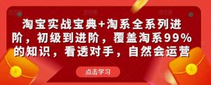 淘宝实战宝典+淘系全系列进阶，初级到进阶，覆盖淘系99%的知识，看透对手，自然会运营-虚拟资源库