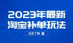 2023年最新淘宝补单玩法,18节课让教你快速起新品,安全不降权-虚拟资源库