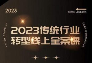 数据哥2023传统行业转型线上全案课,2023年传统行业如何转型线上,线上创业/传统转型避坑宝典-虚拟资源库