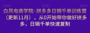 白凤电商学院·拼多多日销千单训练营,从0开始带你做好拼多多,日销千单快速复制(更新知2023年3月)-虚拟资源库