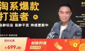 锋投老叶全店动销,淘系干货汇总,各种玩法,淘系爆款打造者-虚拟资源库