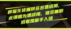 胖哥无货源拼多多速成班，此课程为速成班，适合兼职或者是新手入场-虚拟资源库