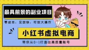 小红书蓝海大市场虚拟电商项目,手把手带你打造出日赚2000+高质量红薯账号-虚拟资源库