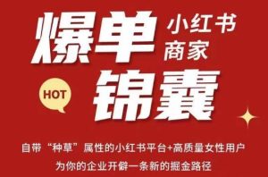 无畏·小红书商家爆单锦囊,掌握小红书各大规则,快速精准抢占行业和市场-虚拟资源库