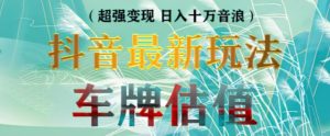 抖音最新无人直播变现直播车牌估值玩法项目，轻松日赚几百+【详细玩法教程】-虚拟资源库