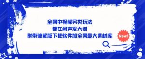 全网中视频另类玩法,都在闷声发大财,附带破解版下载软件加全网最大素材库-虚拟资源库