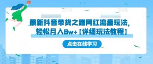最新抖音带货之蹭网红流量玩法，轻松月入8w+【详细玩法教程】-虚拟资源库