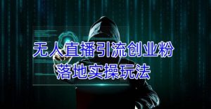 外面收费3980的无人直播引流创业粉落地实操玩法,单日引100+精准创业粉-虚拟资源库