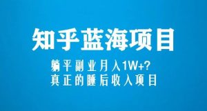 知乎蓝海玩法,躺平副业月入1W+,真正的睡后收入项目(6节视频课)-虚拟资源库