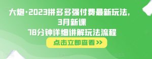 大炮·2023拼多多强付费最新玩法，3月新课​78分钟详细讲解玩法流程-虚拟资源库
