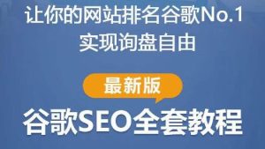 谷歌SEO实战教程:如何让你的网站在谷歌排名第一,内容从入门到高阶,适合个人及团队-虚拟资源库