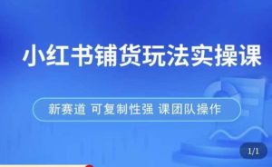 小红书铺货玩法实操课,流量大,竞争小,非常好做,新赛道,可复制性强,可团队操作-虚拟资源库
