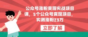 公众号涨粉变现实战项目课,5个公众号变现项目,实测涨粉23万-虚拟资源库