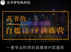 花爷的自媒体IP训练营【14期】,一套专业科学的自媒体IP武器库（更新2023年3月）-虚拟资源库
