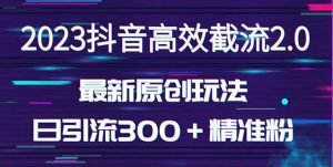 日引300+创业粉,独家抖音高效截流2.0玩法(价值1280)-虚拟资源库