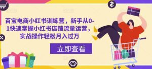百宝电商小红书训练营,新手从0-1快速掌握小红书店铺流量运营,实战操作轻松月入过万-虚拟资源库