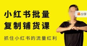 张宾·小红书批量复制铺货课,小红书0-1快速起号变现玩法,抓住小红书的流量红利(更新2023年3月)-虚拟资源库