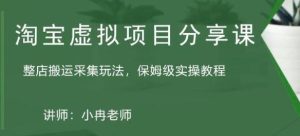 淘宝虚拟整店搬运采集玩法分享课:整店搬运采集玩法,保姆级实操教程-虚拟资源库