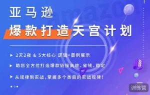 亚马逊爆款打造天宫计划,5大核心逻辑+案例展示,助你全方位打造爆款链接高效、省钱、稳定-虚拟资源库