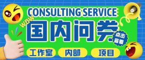最新工作室内部国内问卷调查项目,单号轻松日入30+多号多撸【详细玩法教程】-虚拟资源库