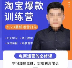 爱上黄昏·淘宝爆款训练营,2023最新运营打法,学习爆款思维,实现利润增长-虚拟资源库