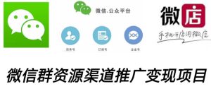 微信群码资源渠道内循环推广变现项目,多种变现方式,打通你的管道收益-虚拟资源库
