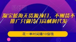 淘宝蓝海无货源项目,不囤货不推广只做冷门高利润代发,花一半时间赚10倍钱-虚拟资源库
