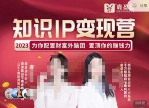 鹿盈盈-知识IP变现实操营,普通人可复制的知识产品落地实操课,带你打通知识IP变现底层逻辑-虚拟资源库