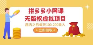 黄岛主·拼多多小网课无版权虚拟项目分享课:起店之后每天100-200收入-虚拟资源库