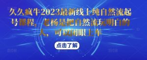久久疯牛2023最新线上纯自然流起号课程，老杨是把自然流玩明白的人，可以闭眼上车-虚拟资源库
