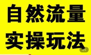 拼多多自然流量天花板,拼多多自然流的实操玩法,自然流量是怎么来的,如何开车带来自然流等知识-虚拟资源库